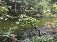 -黔灵山公园-南门售票处