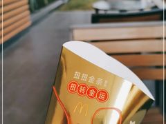 -麦当劳(新新大道岗丰店)