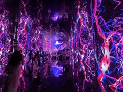 -中华艺术宫(上海美术馆)