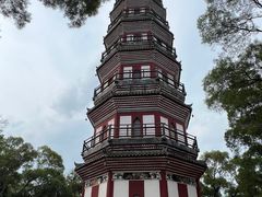 -顺峰山公园