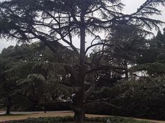 -上海虹桥迎宾馆