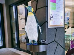 -帝企鹅自助餐厅•儿童岛•真企鹅(长隆企鹅酒店)