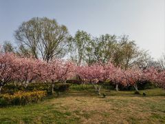 -云龙湖旅游景区