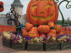 -大连海昌发现王国主题公园