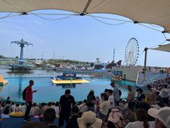 -秦皇岛乐岛海洋王国