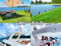 -上海山野camping·户外天幕烧烤·团建拓展营地
