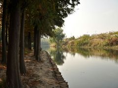 android_upload_pic-新江湾城公园