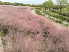-嘉北郊野公园