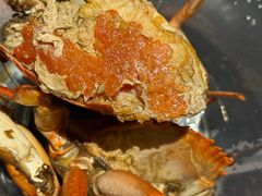 -莲花公园煎蟹(总店)