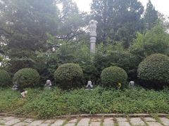 -高尔山公园