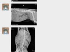 -全心全意连锁动物医院(加州店)