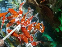 -太平洋海底世界