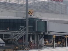 -同济大学附属口腔医院