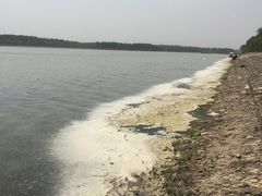 -东郊湿地公园