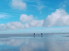 -南汇嘴观海公园