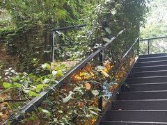 -宅里香.自然餐厅(湘大店)