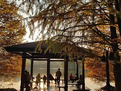 -浙江农林大学(东湖校区)