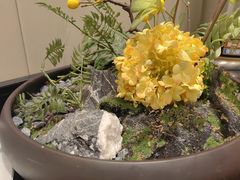 -香满楼(清水河路店)