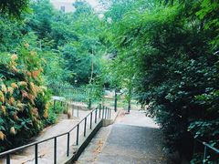 -风车面包