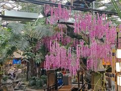 -世外桃源农庄·德清土菜(兴康南路店)
