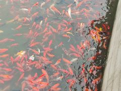 -重元寺香积厨素斋馆