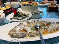 -海派美食·家宴海鲜青岛菜·石锅鲽鱼头(东方城店)