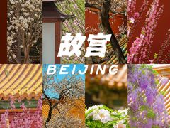 -故宫博物院(故宫)