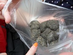 10个10块钱-叶氏麻糍(鼓浪屿店)