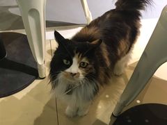 -小时光咖啡馆(开森度假森林店)