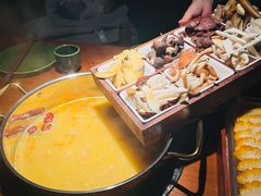 -花菇朵·云山雀 ll 野生菌锅·野果酸汤·精品滇菜(万柳店)