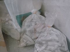 -洪馨椰子