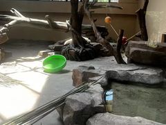 -宁波野生动物园