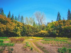 -杭州半山国家森林公园