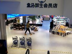 -盒马鲜生(大成店)