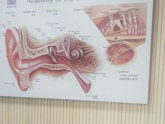 -自然之声助听器·呼吸机(和平店)