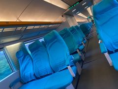 -龙阳路磁悬浮列车总站-停车场