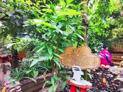 -呀路古热带植物园