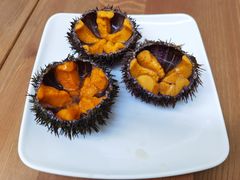 活海胆-海胆小馆(春柳店)