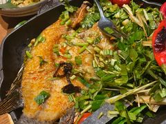 -云海肴·汽锅鸡·云南菜(天山百盛优客店)