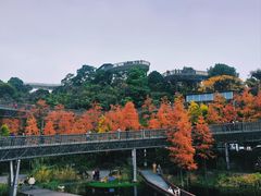 -福道