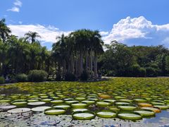 -中国科学院西双版纳热带植物园