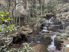 -莫干山风景区