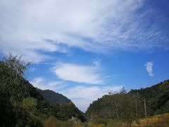 -沣峪口