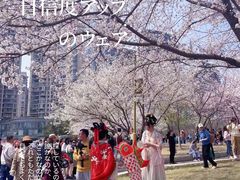 -西北湖绿化广场
