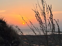 -Apple零售店(青岛万象城店)