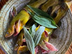 -侗乡缘食府(从江高铁站店)