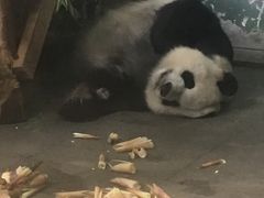 -无锡动物园·太湖欢乐园