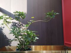 -南京钟山宾馆(江苏省会议中心)
