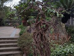 -南山植物园