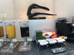 -虹桥机场国航贵宾室v8